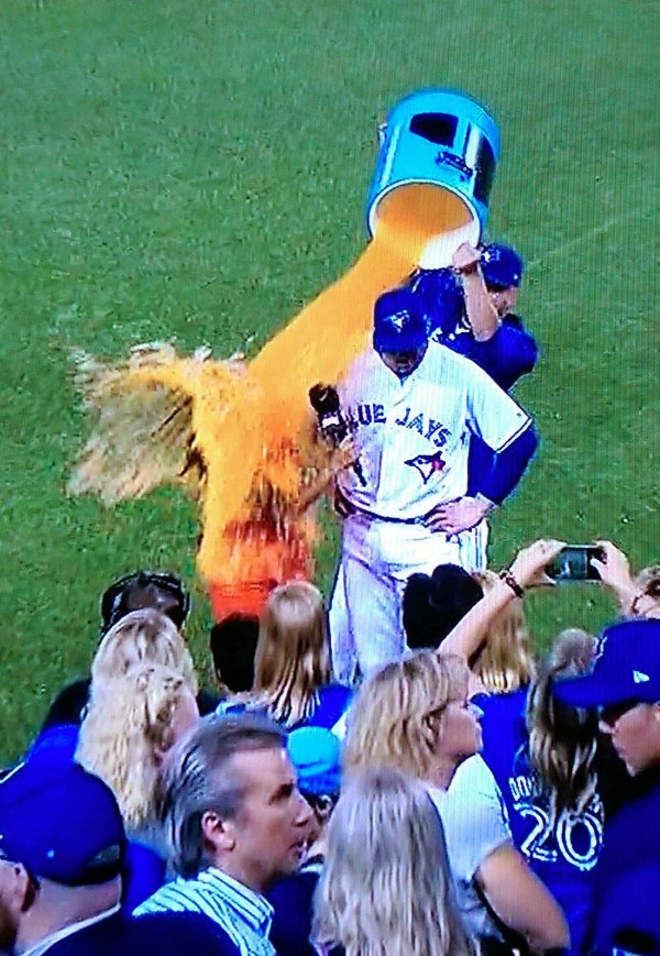 What Is Going On Here? (34 pics)