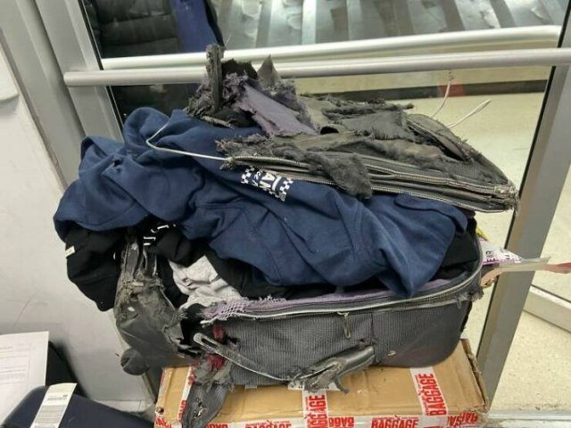 Fails With Luggage (29 pics)