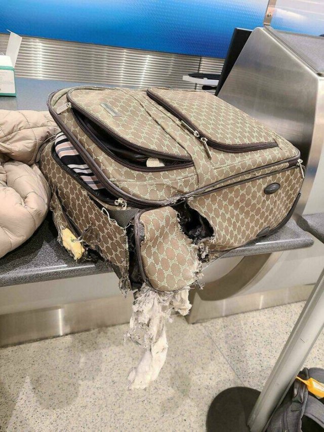 Fails With Luggage (29 pics)