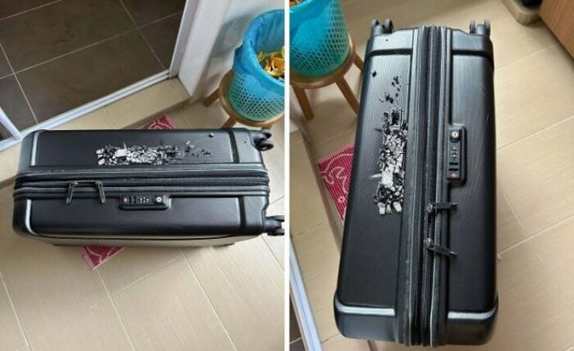 Fails With Luggage (29 pics)