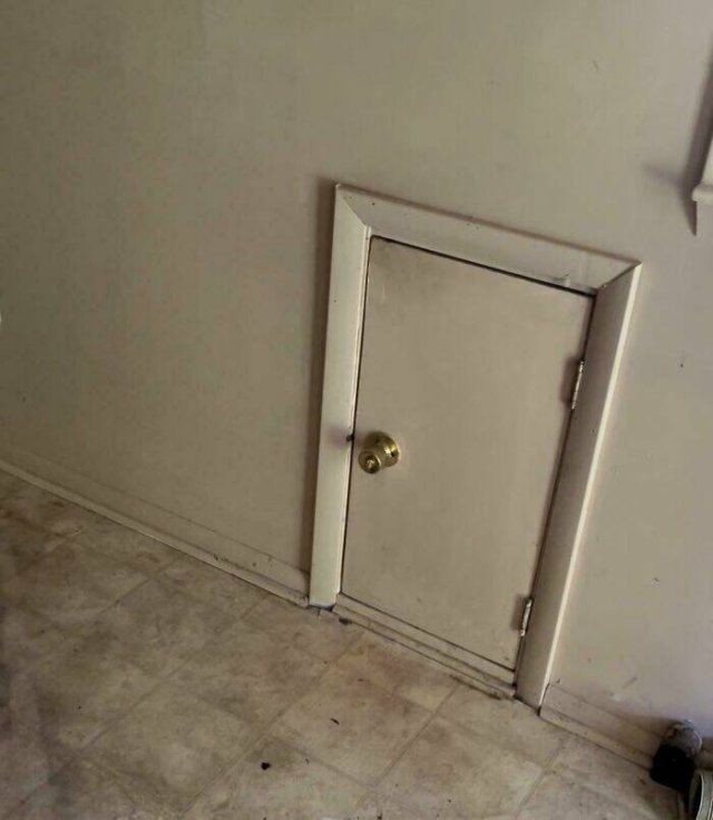Cool Finds In Old Houses (24 pics)