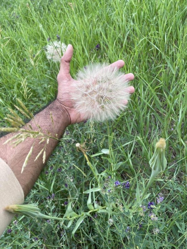 Interesting Finds And Discoveries (25 pics)