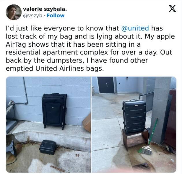 Fails With Luggage (29 pics)