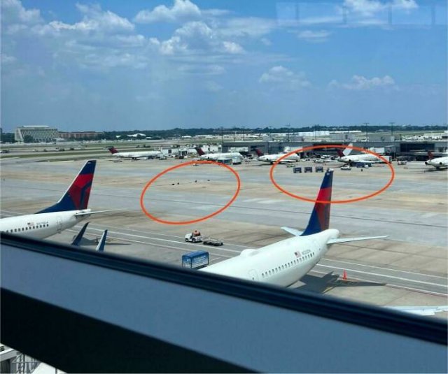 Fails With Luggage (29 pics)