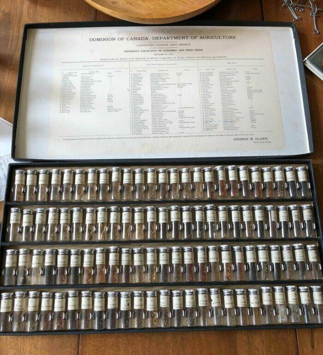 Cool Finds In Old Houses (24 pics)