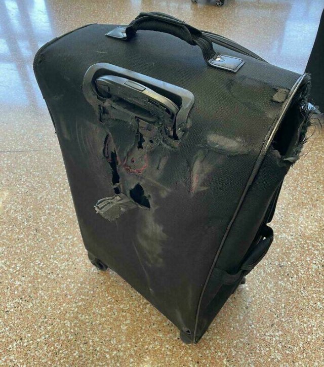 Fails With Luggage (29 pics)