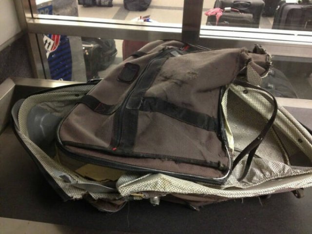 Fails With Luggage (29 pics)
