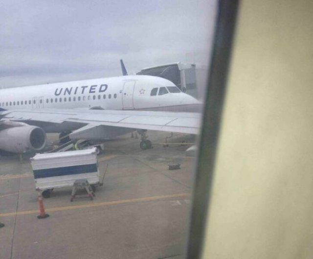 Fails With Luggage (29 pics)