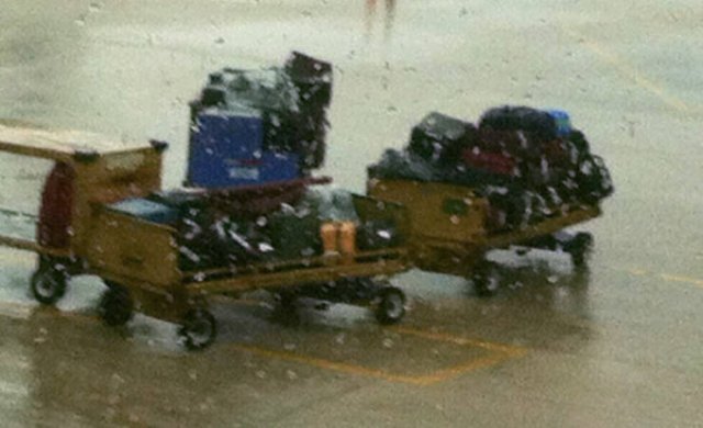 Fails With Luggage (29 pics)