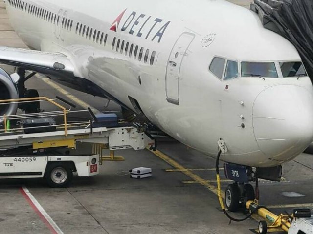 Fails With Luggage (29 pics)