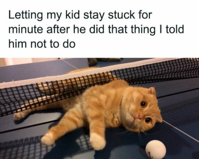 Memes About Parenting (23 pics)