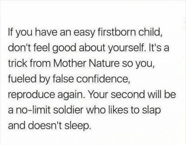 Memes About Parenting (23 pics)