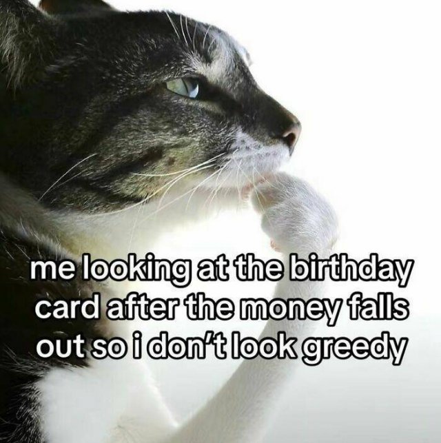 Jokes For Cat Lovers (17 pics)
