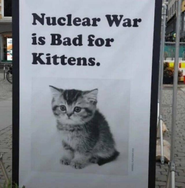Jokes For Cat Lovers (17 pics)