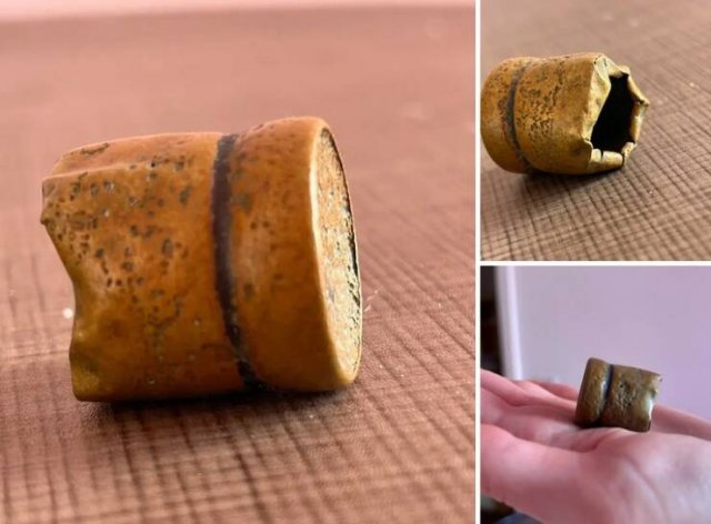 What Are These Things? (20 pics)