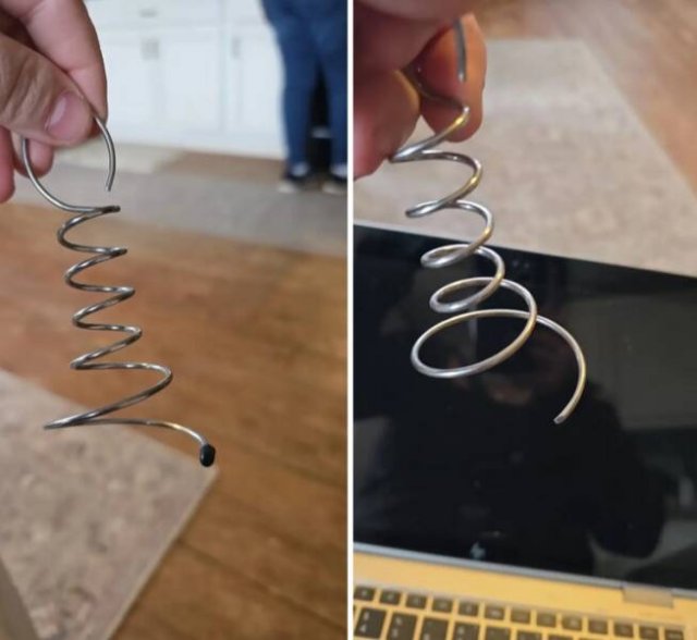 What Are These Things? (20 pics)
