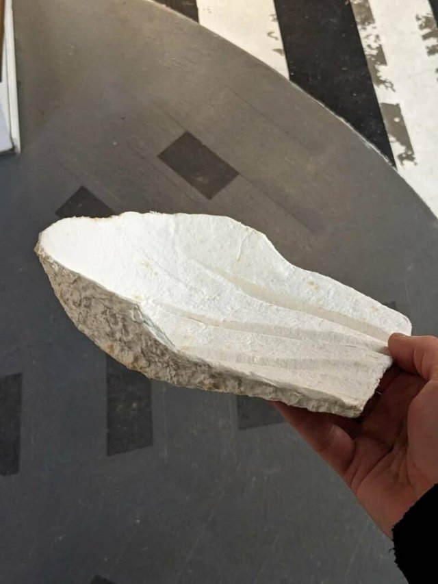 What Are These Things? (20 pics)