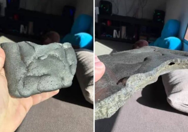 What Are These Things? (20 pics)