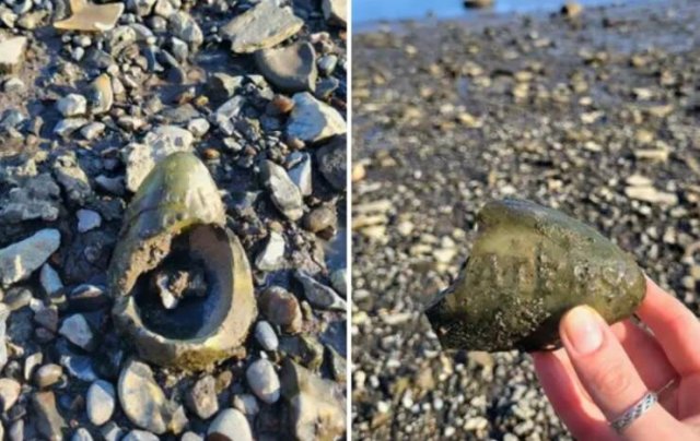 What Are These Things? (20 pics)