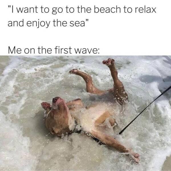 Truthful Memes (17 pics)