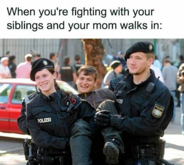 Truthful Memes (17 pics)
