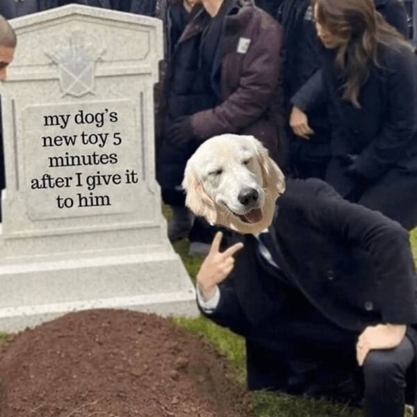 Truthful Memes (17 pics)