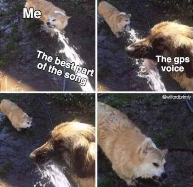 Truthful Memes (17 pics)