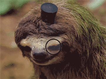 Random Facts (15 gifs) Random Facts (15 gifs)