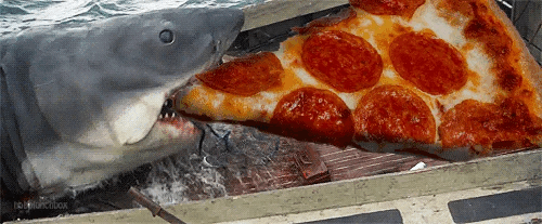 Random Facts (15 gifs) Random Facts (15 gifs)