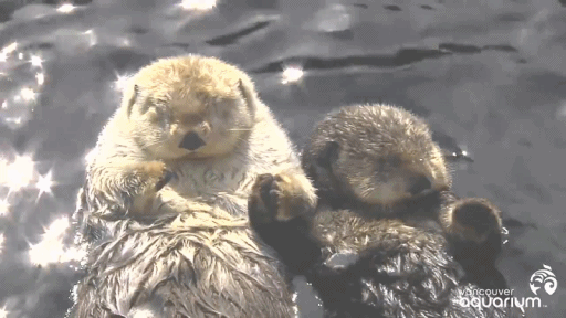Random Facts (15 gifs) Random Facts (15 gifs)