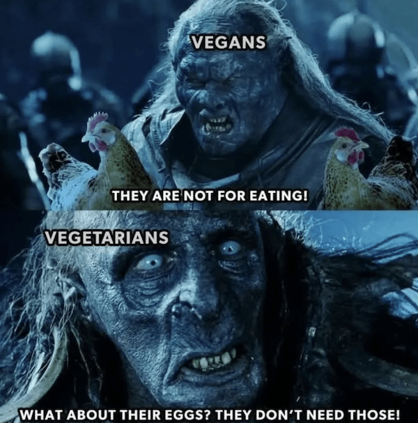 Memes For ''The Lord Of The Rings'' Fans (41 pics)