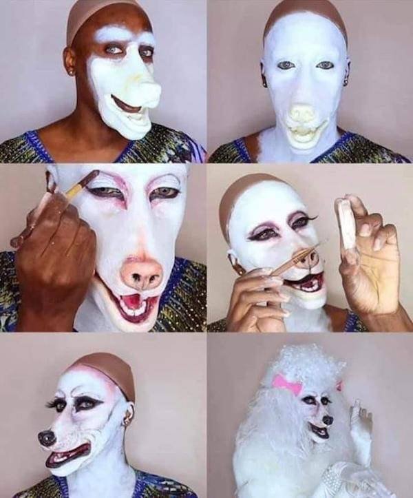 What Is Going On Here? (34 pics)