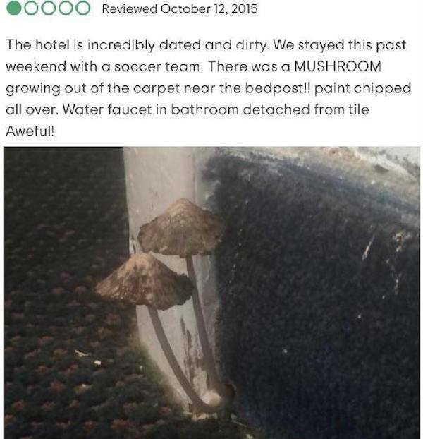 What Is Going On Here? (34 pics)