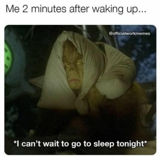 Random Memes (15 pics)
