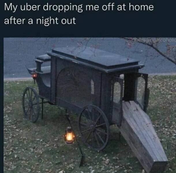 Random Memes (15 pics)