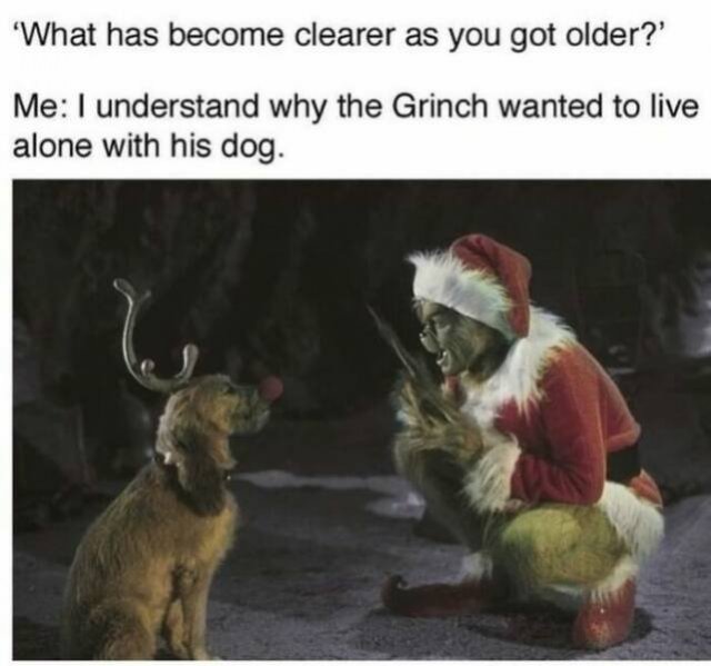 Random Memes (15 pics)