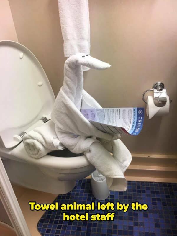 Photos For Good Mood (24 pics)