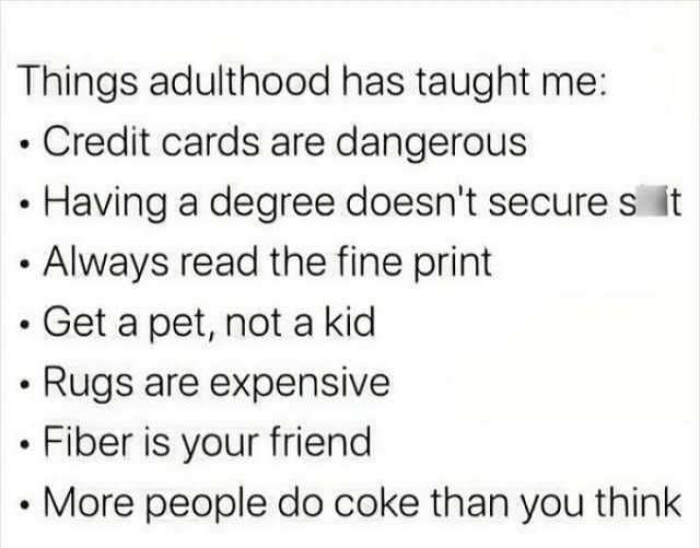 Jokes About Adulthood (24 pics)