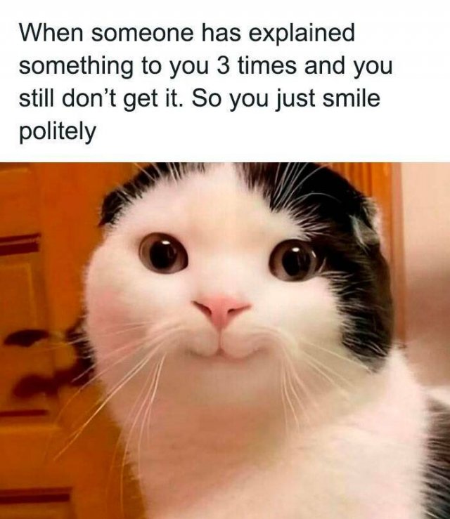 Sarcastic Memes (23 pics)