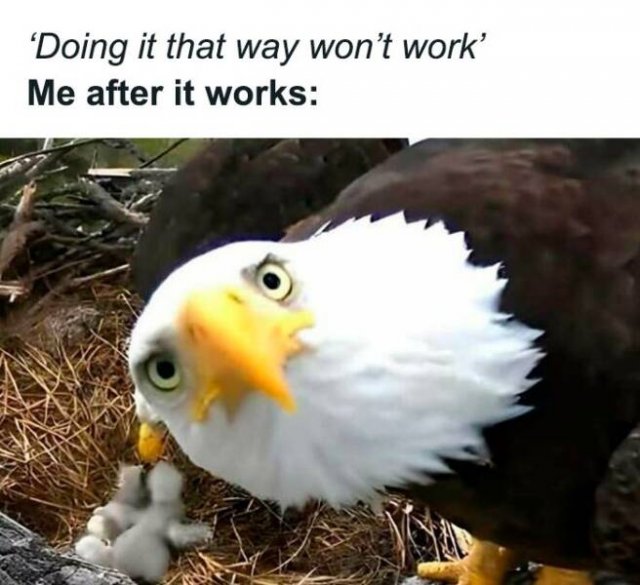 Sarcastic Memes (23 pics)