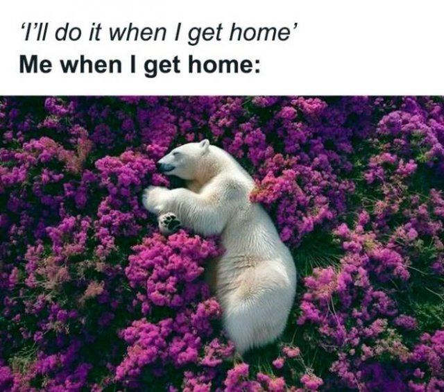 Sarcastic Memes (23 pics)