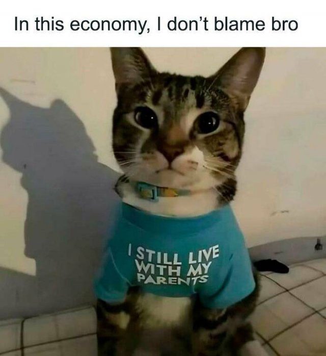 Sarcastic Memes (23 pics)