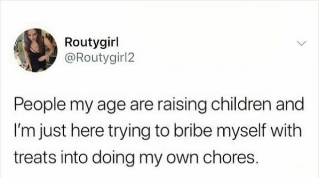 Jokes About Adulthood (24 pics)