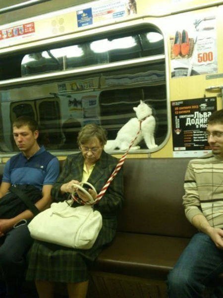 Strange Photos Form Russia (39 pics)