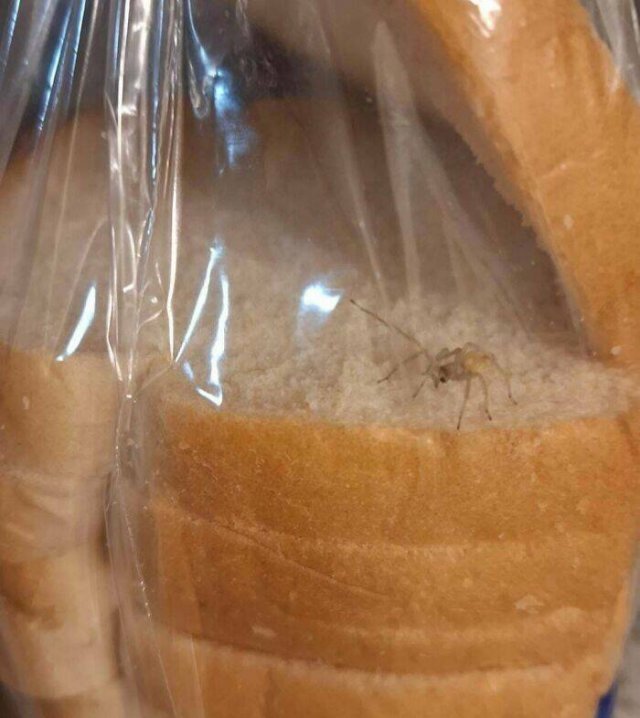 Failed Food Orders (23 pics)