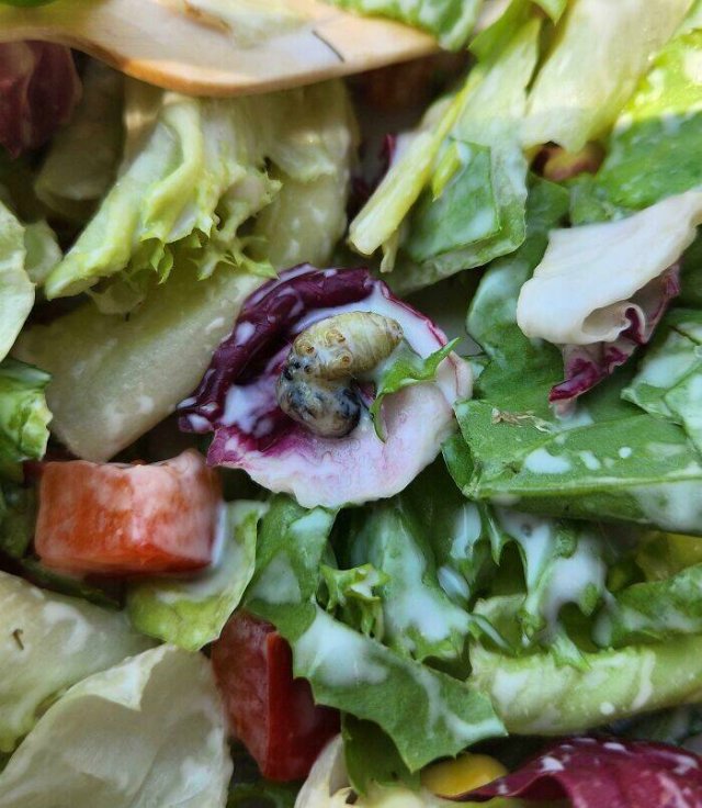 Failed Food Orders (23 pics)