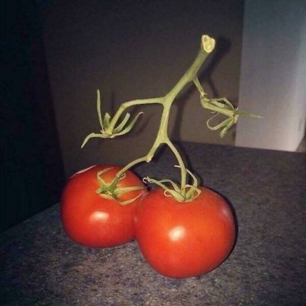 Interesting And Unusual Finds (24 pics)