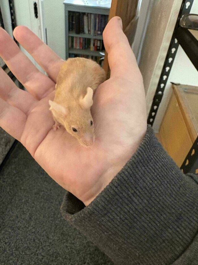Interesting And Unusual Finds (24 pics)
