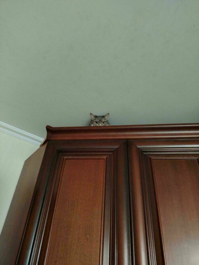 Interesting And Unusual Finds (24 pics)