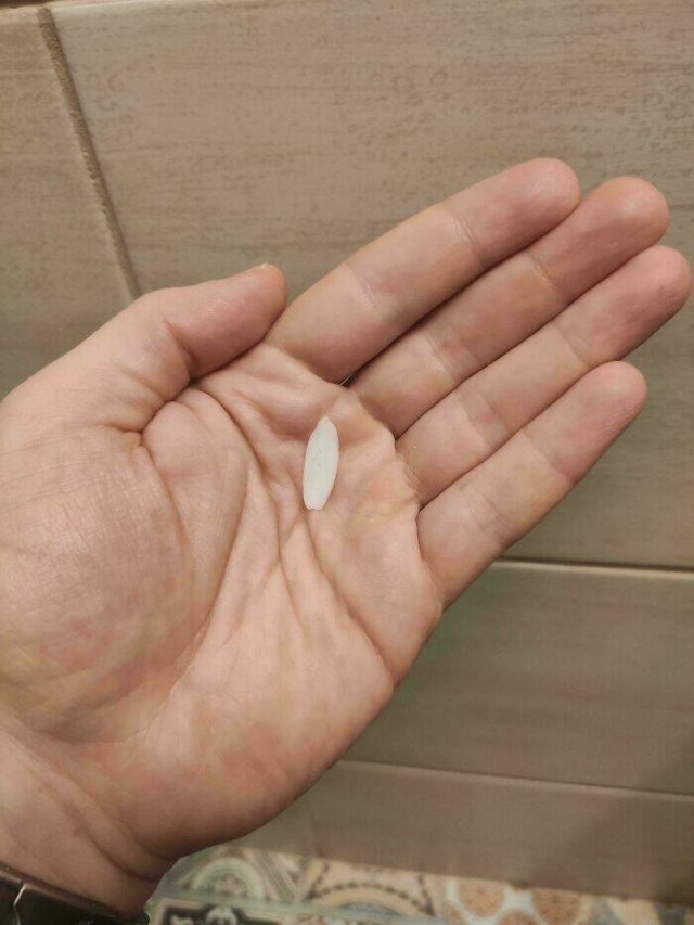 Interesting And Unusual Finds (24 pics)